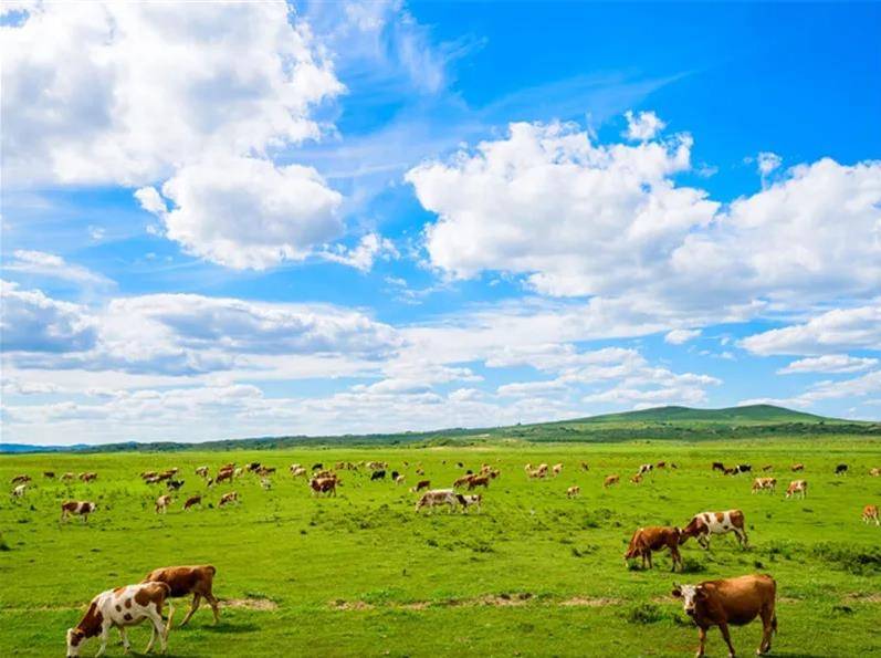 草原文明的瑰宝,探访内蒙古