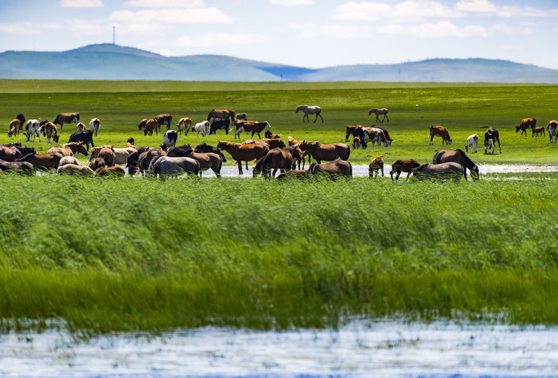 草原文明的瑰宝,探访内蒙古