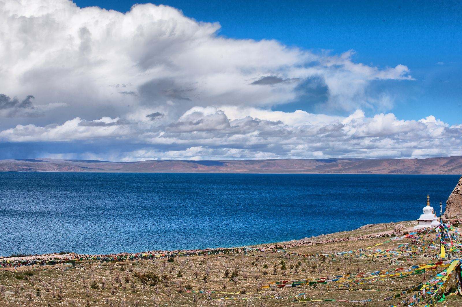 西藏，文化、发展与挑战的探索之旅