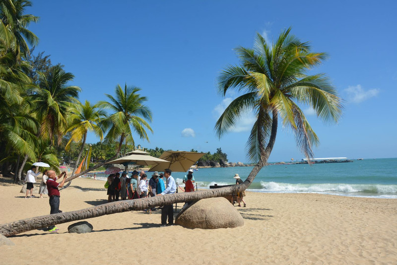 海南小巷深处的秘密小店邂逅记