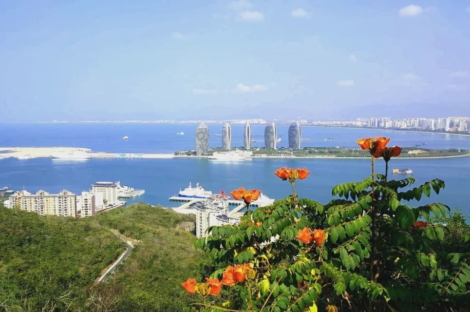 海南小巷深处的秘密小店邂逅记