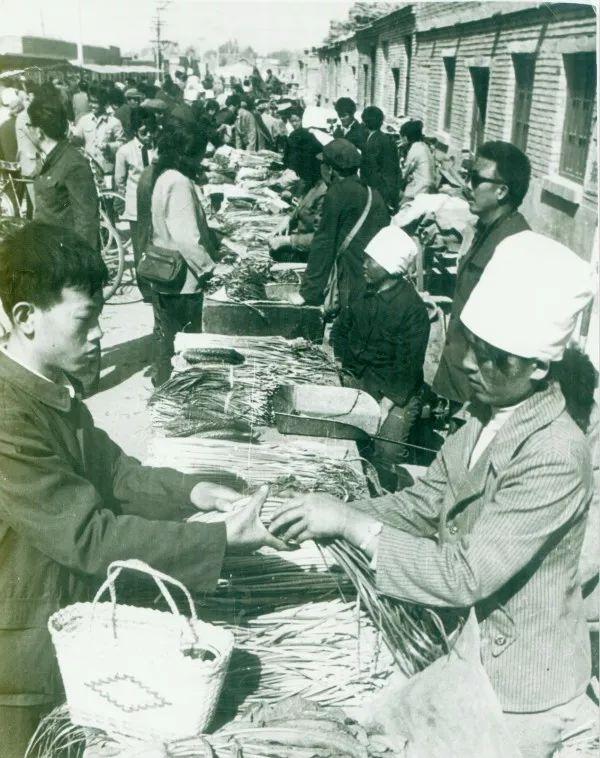 乌海,致亲爱的观众朋友们一封信