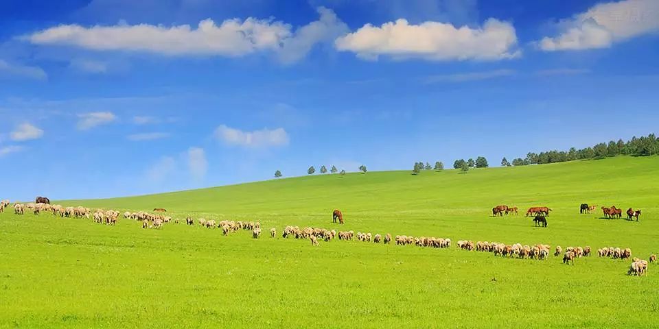 呼伦贝尔深度游,探寻小巷中的独特风情